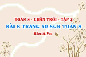 Bài 8 trang 40 Toán 8 Chân trời sáng tạo Tập 2